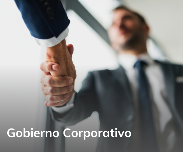 Gobierno Corporativo